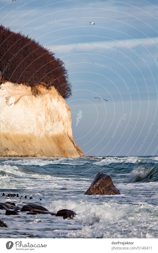 Kreidefelsen von Rügen vom Strand aus gesehen Abenteuer Umwelt Ausflug Tourismus Ferien & Urlaub & Reisen Ferne Landschaft Natur wandern Freiheit Pflanze Winter