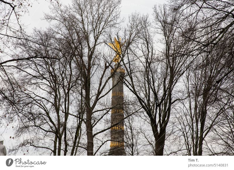 Die Berliner Siegessäule hinter Winterlichen Blattlosen Bäumen Tiergarten Farbfoto Denkmal Goldelse gold großer stern Hauptstadt Deutschland viktoria Himmel