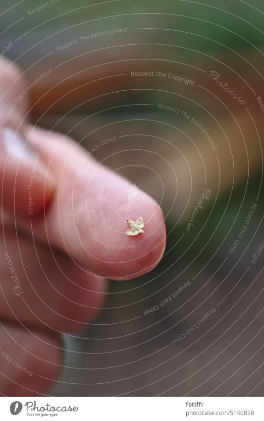 Kleiner Vogel auf Fingers Spitze Tier fliegen fantasie Natur Nahaufnahme Freiheit Zeigefinger frei zart federleicht träumen Textfreiraum oben Paraidolie Umwelt