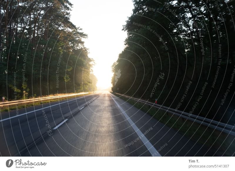 Landstraße durch den Wald Straße Verkehr Landschaft Menschenleer Außenaufnahme Verkehrswege Einsamkeit Sonnenlicht Farbfoto Straßenverkehr Wege & Pfade Tag