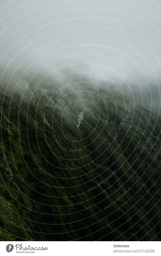 im Nebel Gebirge Berg wandern Natur Wetter Berge u. Gebirge Landschaft Menschenleer Gipfel Außenaufnahme Felsen Wolken Farbfoto Ferien & Urlaub & Reisen Himmel