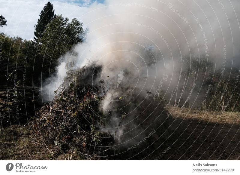 Herbstfeuer aus trockenem Gras, Blättern und Zweigen. Großes rauchiges Feuer. Totale Luftverschmutzung. Schlechte Nachbarn. Grasbrand brennende Blätter