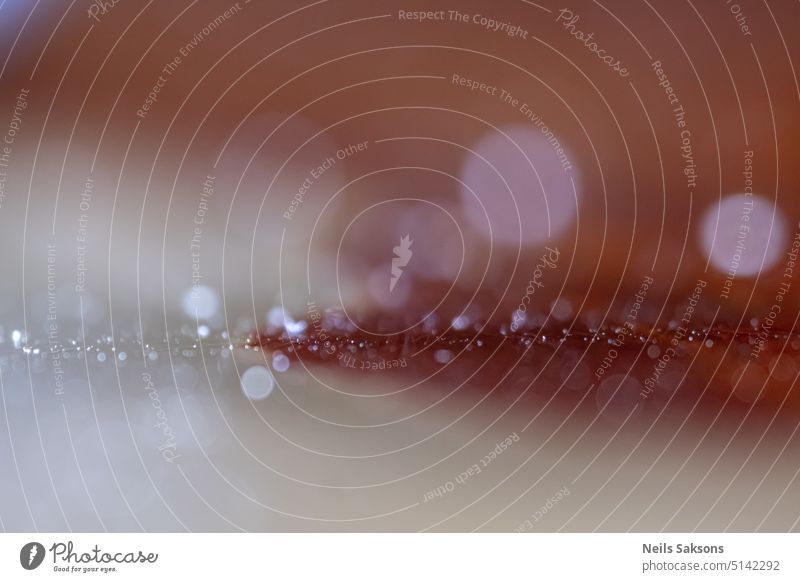 sehr nahes Makro einer polierten Steintischoberfläche voller Staub Bokeh Bokeh-Ringe Leuchtringe abstrakt Staubwischen Wasser abschließen Textur Hintergrund