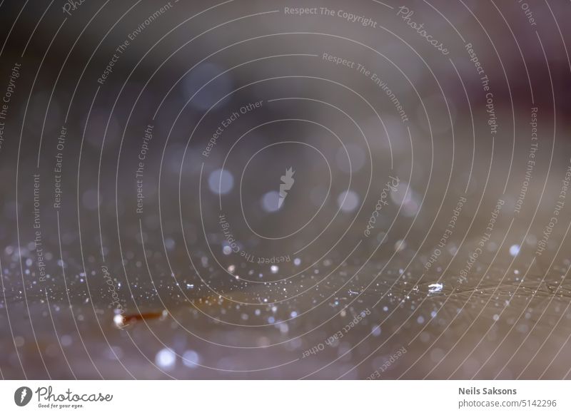 sehr nahes Makro einer polierten Steintischoberfläche voller Staub Bokeh Bokeh-Ringe Leuchtringe abstrakt Staubwischen Wasser abschließen Textur Hintergrund