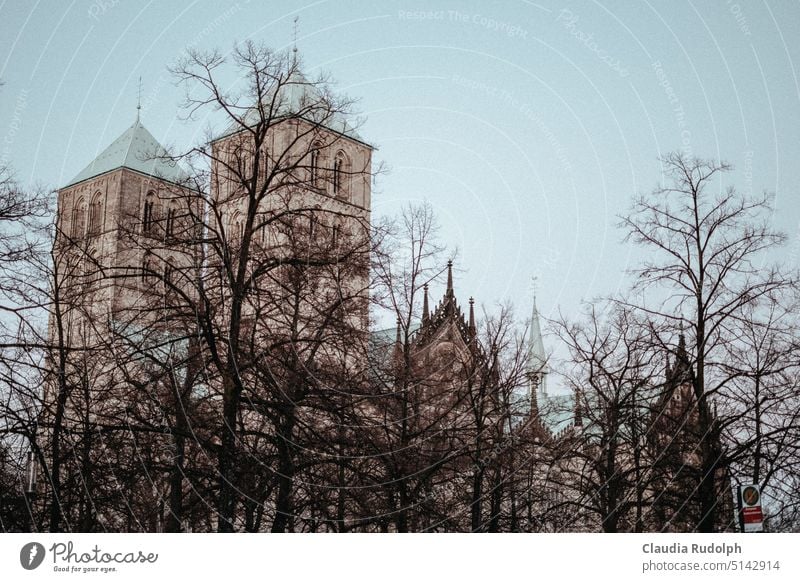 Türme und Giebel des St. Paulus Doms in Münster mit winterlichen Bäumen vor blassblauem Winterhimmel Stadtzentrum Münster Münster Altstadt Domplatz Münster