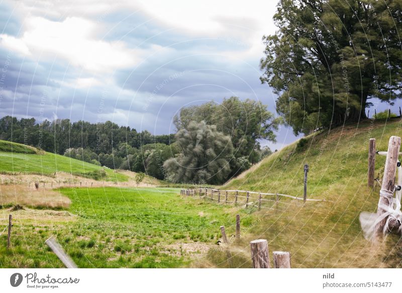 Butterweich – Föhnsturm – Rund um München Außenaufnahme Natur Umwelt Landschaft Wind Sturm gebüsch Farbfoto Wetter bedrohlich Urelemente Bewegungsunschärfe