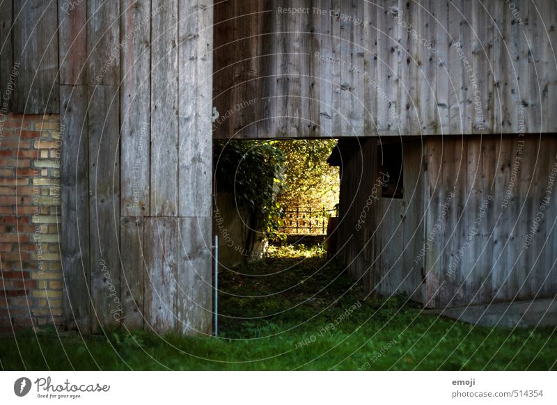 Durchgang Umwelt Natur Haus Hütte Mauer Wand Fassade natürlich grün Holzbrett Holzwand Tunnel Farbfoto Außenaufnahme Menschenleer Tag Schwache Tiefenschärfe