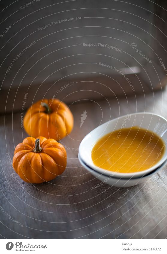 Kürbis Gemüse Suppe Eintopf Ernährung Mittagessen Abendessen Schalen & Schüsseln lecker orange Kürbissuppe Farbfoto Innenaufnahme Menschenleer Textfreiraum oben