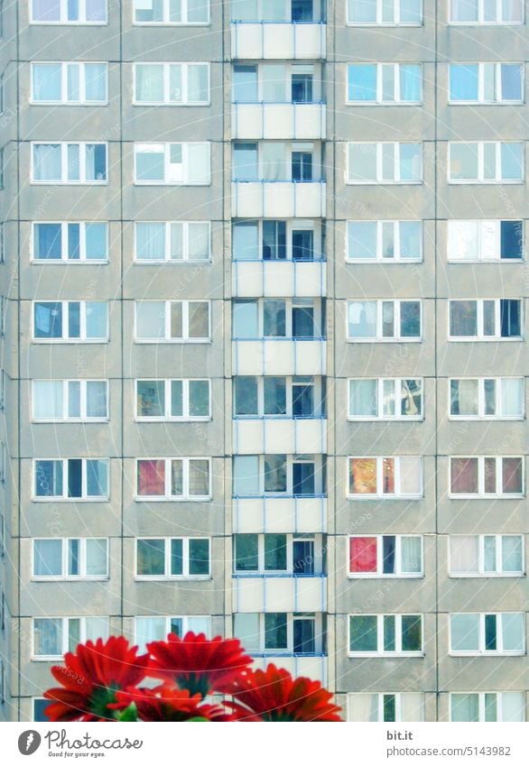 farbreduziert l Blumengrüße. Triste Hochhausfassade mit Blumen. Architektur Stadt Gebäude Fassade Fenster Menschenleer Haus Außenaufnahme Bauwerk Wand Mauer