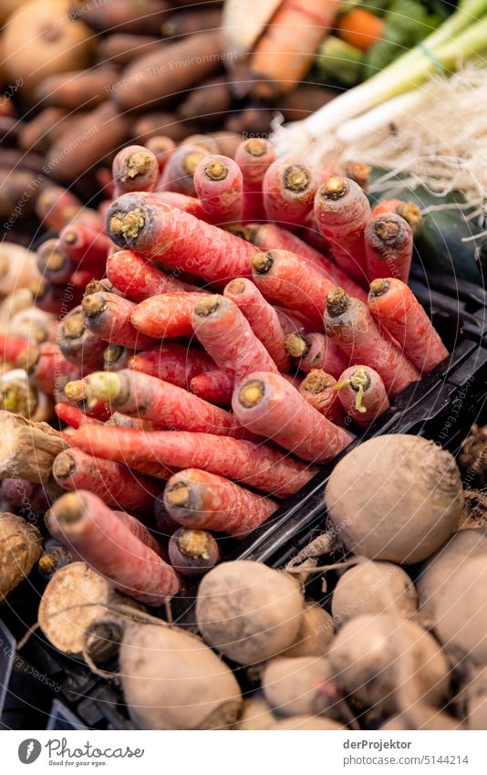 Biogemüse auf einem Verkaufsstand grün Wachstum Diät Detailaufnahme Landwirtschaft Gesunde Ernährung Nahaufnahme natürlich Garten frisch Gemüse