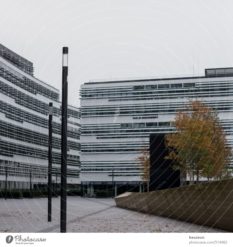 herbststurm. Wirtschaft Business Unternehmen Natur Himmel Herbst schlechtes Wetter Wind Sturm Baum Blatt Park Stadt Stadtzentrum Menschenleer Bankgebäude Platz