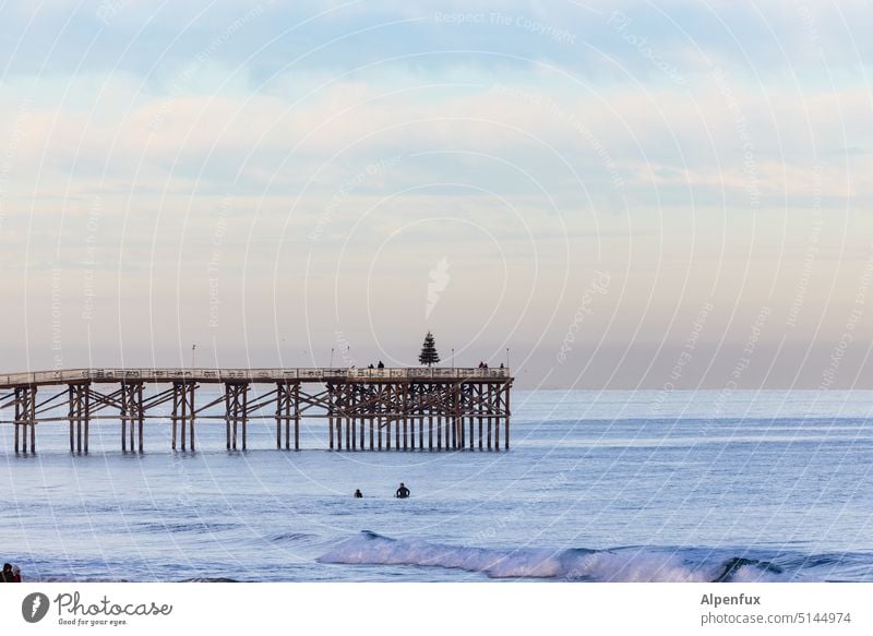 Abschussrampe für Bioraketen Steg Horizont Pazifik Surfer Holzsteg Weihnachtsbaum Außenaufnahme Meer Ozean Wellen Himmel Küste Natur Wasser