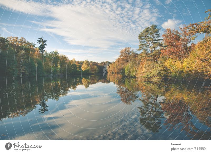 Bärensee 2013 | Herbst at its best Umwelt Natur Landschaft Pflanze Wasser Himmel Wolken Sonnenlicht Schönes Wetter Wärme Baum Sträucher Grünpflanze Park Wald