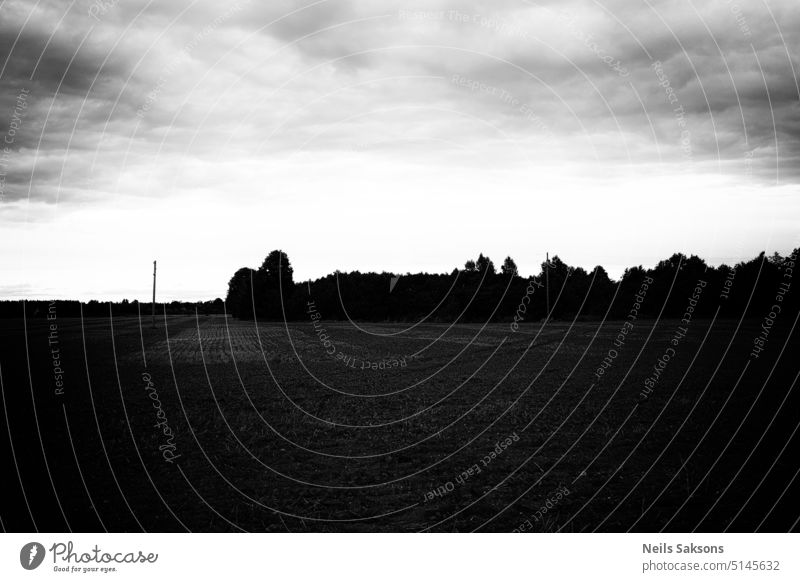 Wiese unter bewölktem Himmel dunkel Schwarzweißfoto Monochrom mono Wolken schwarz Kontrast Landschaft Menschenleer Umwelt trist Wald Feld schlechtes Wetter grau