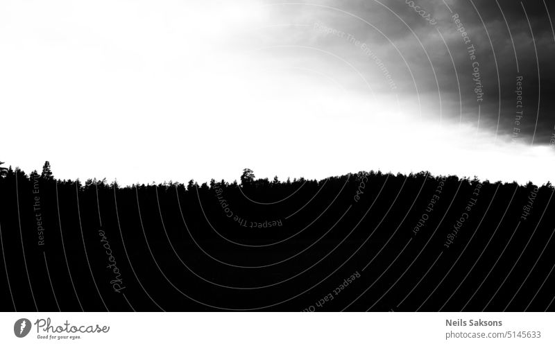 Wiese unter bewölktem Himmel dunkel Schwarzweißfoto Monochrom mono Wolken schwarz Kontrast Landschaft Menschenleer Umwelt trist Wald Feld schlechtes Wetter grau