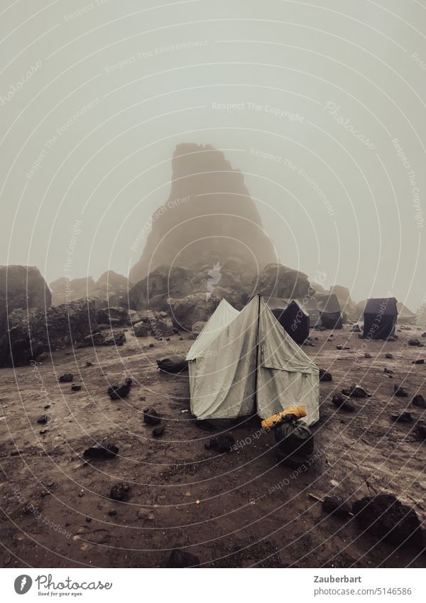 Zelt im Regen, Nebel und Wolken am Lava Tower, Kilimanjaro faltig Bruchbude Sicht Felsen Wandern Trekking Abenteuer Bergsteigen trist grau ungemütlich großartig