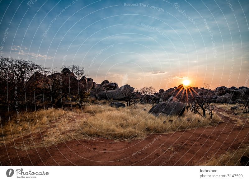 sonnengeschichten Damaraland Felsen Wildnis Dämmerung fantastisch träumen Sonnenuntergang Afrika Namibia Landschaft reisen Ferne Fernweh besonders Himmel Wärme