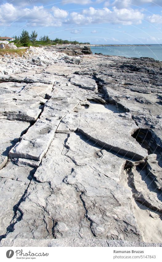 Grand Bahama Island Erodierte Felsenküste Ansicht Natur tropisch angefressen geologisch Landschaft Ufer Strand Küste Küstenlinie im Freien reisen wandern Insel