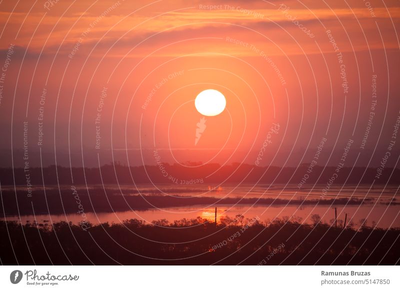 Tampa Stadt Rot Morgensonne Ansicht malerisch Natur Landschaft Wasser Fluss Reflexion & Spiegelung rot Himmel Wolken Sonne Sonnenlicht Morgendämmerung