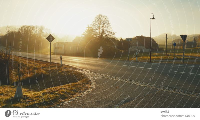 Außerhalb Oberlausitz Ostsachsen Dorfidylle Dächer Landschaft Straßenbeleuchtung Bäume Sträucher Natur Silhouette Farbfoto Strommasten Schönes Wetter