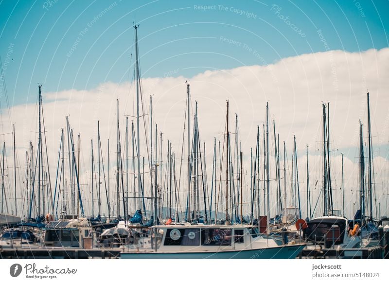 Schiffsmasten bei sonnig heiteren Wetter Geelong Australien Victoria Segelboot Himmel Wolken Hafen Segelschiff Mast Segelboote Wasserfahrzeug Yachthafen