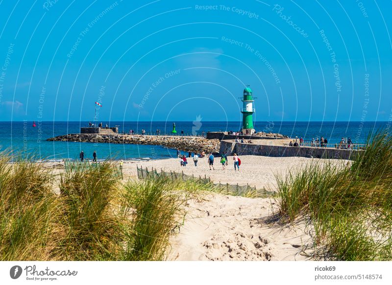 Blick auf die Mole und Düne in Warnemünde Ostsee Küste Molenturm Rostock Ostseeküste Meer Strand Ostseebad Mecklenburg-Vorpommern Dünengras Architektur