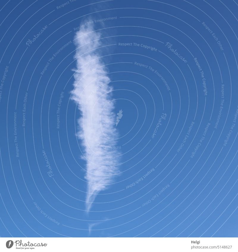 Federwolke vor blauem Himmel Wolke Wetter schönes Wetter federförmig Natur Außenaufnahme Menschenleer Tag Sonnenlicht Blauer Himmel weiß außergewöhnlich