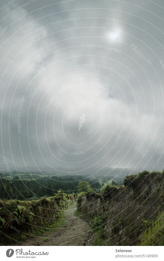 Wanderweg Umwelt Natur Weg Wandern Nebel Portugal Azoren Menschenleer Außenaufnahme Landschaft Tourismus Farbfoto Berge u. Gebirge grün wandern