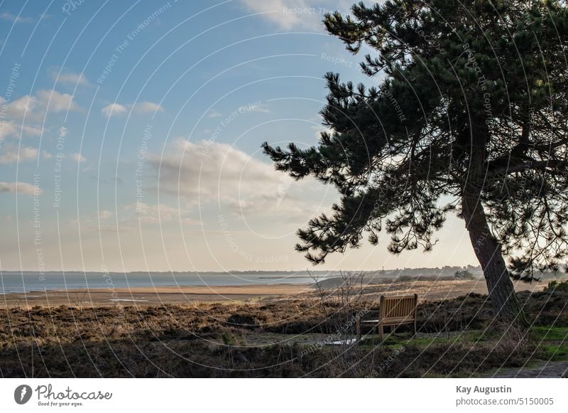 Ausblick auf das Wattenmeer Nordsee Nordseeküste Heidelandschaft Heidekraut Sitzbank Nationalpark Wattenmeer Kampen Syltlandschaft Landschaftsbild Hotspot