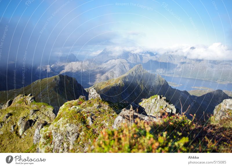 Lofoten XIX Ferien & Urlaub & Reisen Tourismus Ausflug Abenteuer Ferne Freiheit Insel Berge u. Gebirge wandern Natur Landschaft Himmel Wolken Küste Fjord