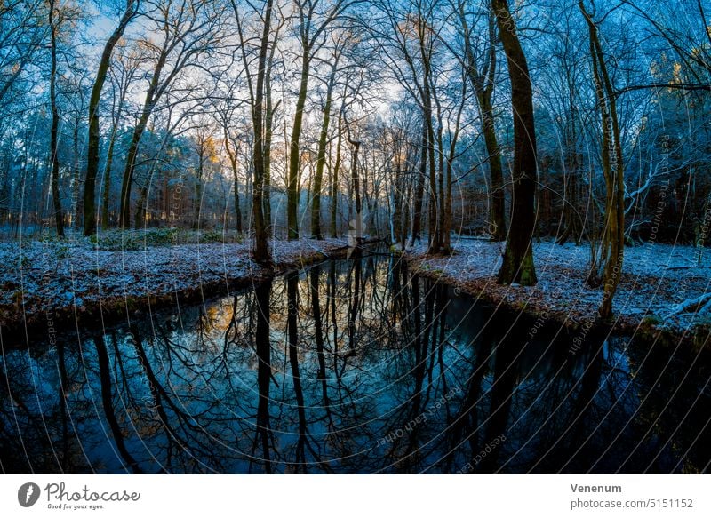 Kleiner schmaler Fluss im Winter kurz nach Sonnenaufgang, fotografiert mit einem Fisheye-Objektiv Flüsse Wasser Wasserreflexionen Wald Wälder Ast