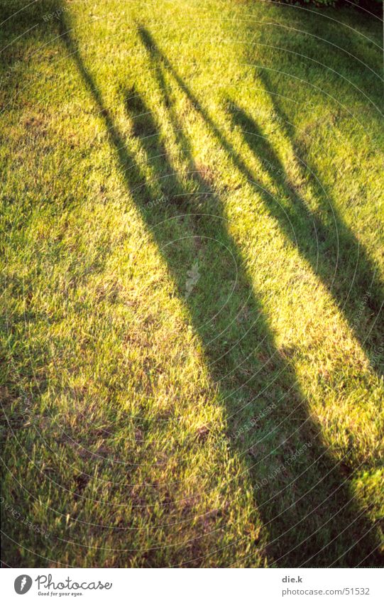 schattentanz Mensch 2 Wiese Licht Lichtspiel Gras grün grasgrün gelb jauchzen Freude fantastisch toben springen Bewegung Außenaufnahme Momentaufnahme Sommer