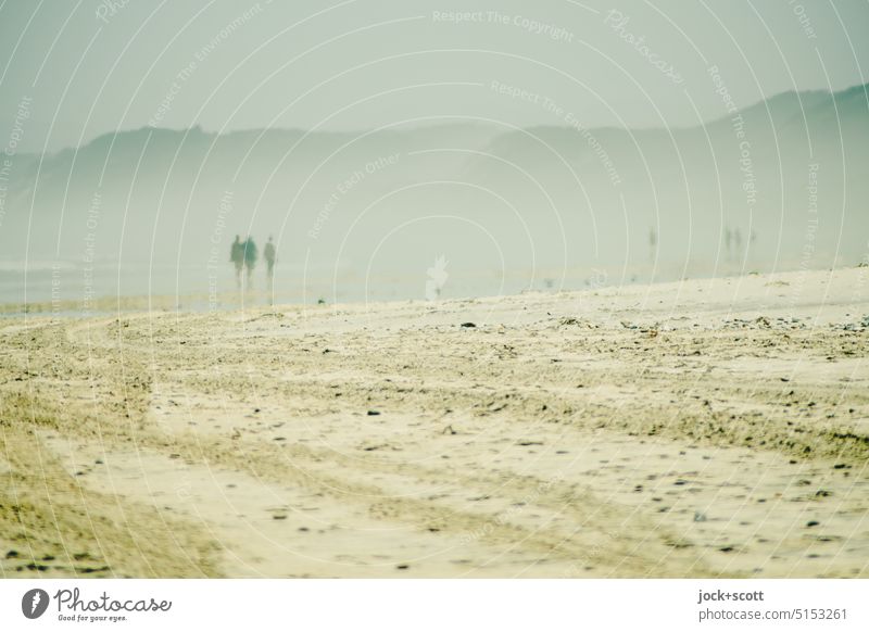 Dunst am Strand Küste Landschaft Ferien & Urlaub & Reisen Sand Silhouette Erholung Wege & Pfade Reifenspuren Spuren Spaziergänger Himmel Hügel Natur Tasmanien