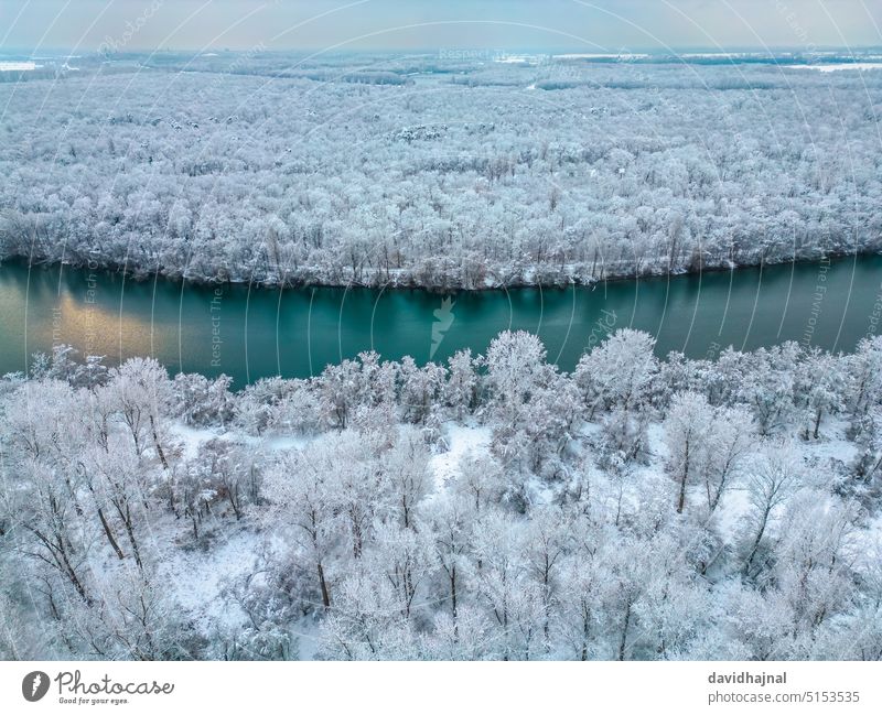 Winterlandschaft mit dem Rhein bei Brühl. Panorama panoramisch Luftaufnahme Dröhnen Ebene Landschaft Antenne Tourismus Park reisen im Freien Flug altrein