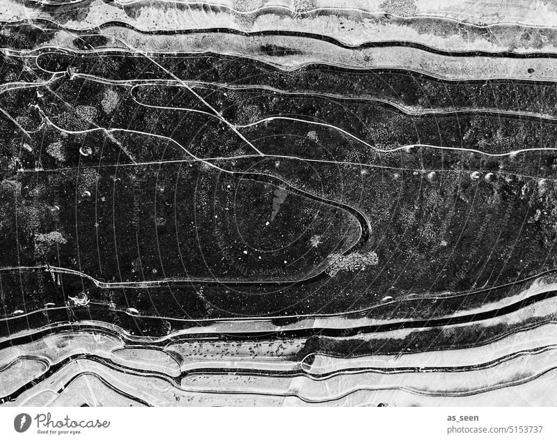 Schwarzes Eis Frost gefroren Pfütze Eisschollen Winter kalt Menschenleer Außenaufnahme Wasser Umwelt abstrakt Strukturen & Formen Schwarzweißfoto bizarr frieren