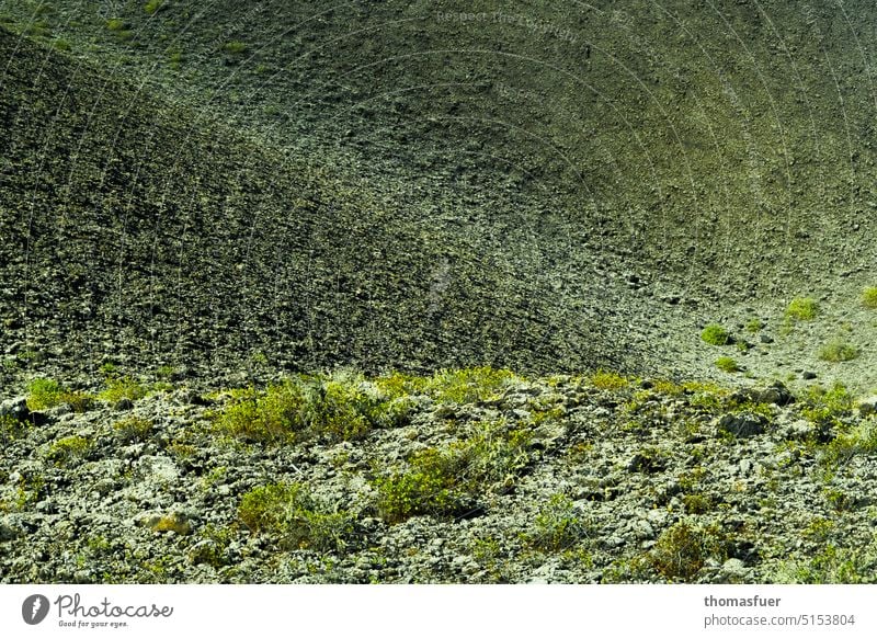 das Leben kommt zurück - Vulkan nach langer Zeit Vulkaninsel vulkanisch Lanzarote Landschaft Natur Außenaufnahme Kanaren Surrealismus Farbe Beginn exotisch