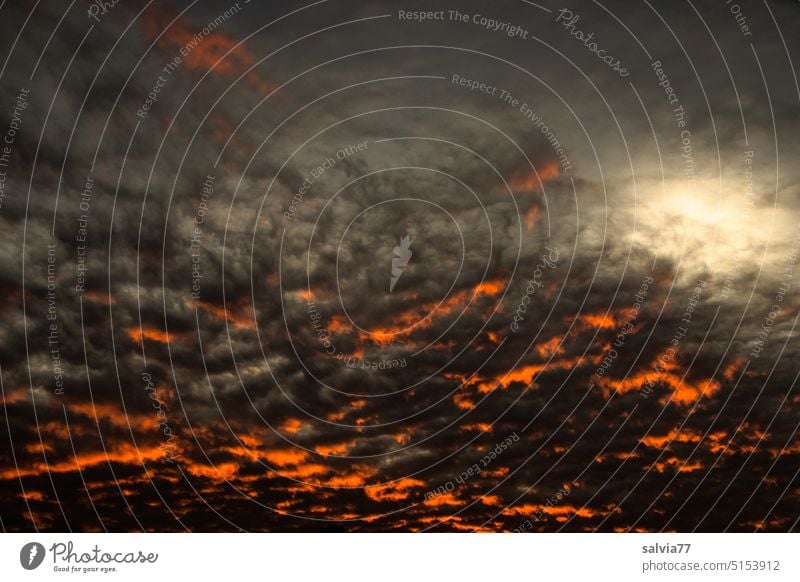 Himmelsglut Wolken Lichtblick bedrohlich düster dunkle Wolken dunkel Gewitter Wetter Urelemente Umwelt Natur Klima Menschenleer heiß Glut schwarz grau orange