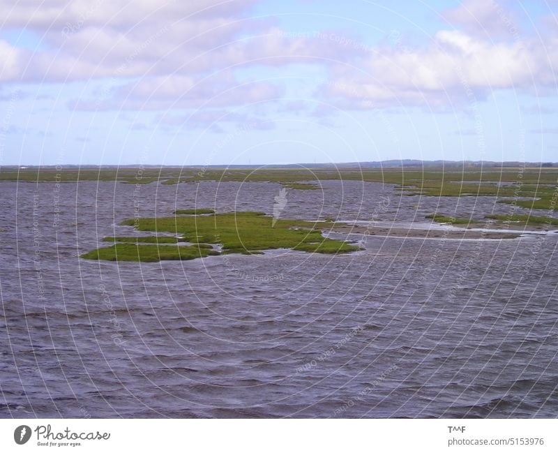 Dänemark Nordwest Jütland - Das Meer mit kleinen grünen Inseln Nordsee Fjord Wasser Wellen Himmel Wolke Wolken Grasinseln Inselchen Küste Wind Natur natürlich