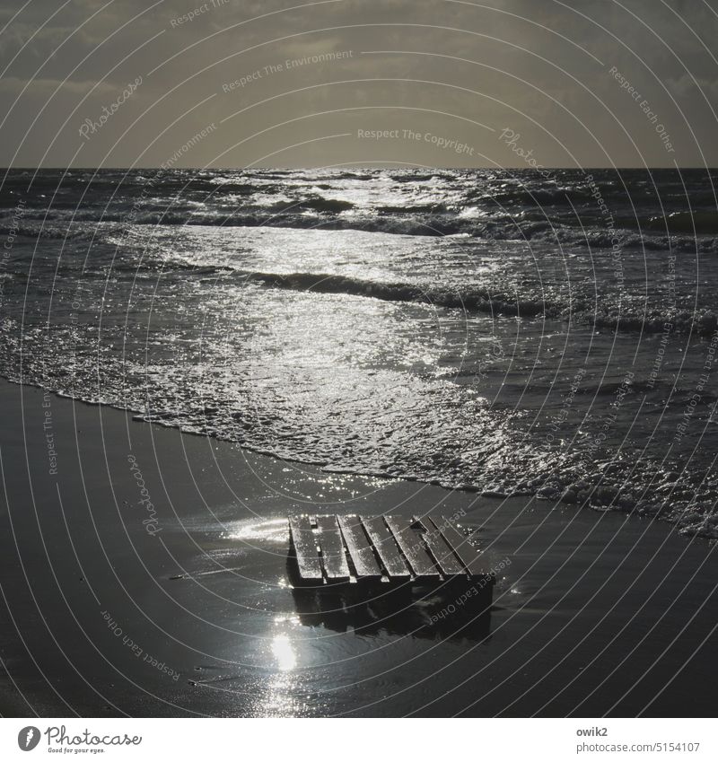 Altes Floß Holzpalette vergessen verlassen Strand Sandstrand Wasser Wellen Weite Ostsee Küste maritim Tag Meer Umwelt Landschaft Natur Farbfoto Menschenleer