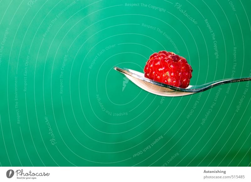 1 Lebensmittel Himbeeren Ernährung Essen Besteck Löffel Metall hängen liegen Gesundheit lecker grün rot silber weiß Hintergrundbild glänzend warten Farbfoto