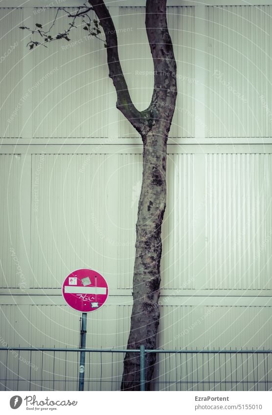 Einbahnbaum Container Schilder & Markierungen Baum Zaun Einbahnstraße Verkehrszeichen Absperrung Straßenverkehr Verkehrsschild Stadt Fassade Textfreiraum Stamm