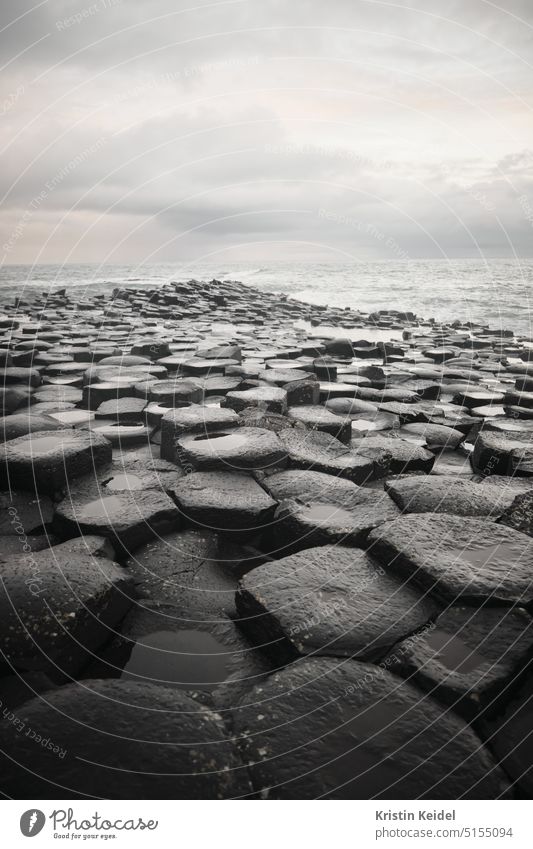 Steinige Küsten Felsen Steine Basaltsteine Natur Himmel Landschaft Meer Wasser Horizont Farbfoto Menschenleer Wellen Wolken Ferne Einsam