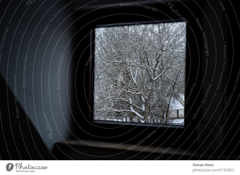 Schnee vor dem Fenster Aussicht Dorf gerahmt Ausblick beobachten Winter kalt Heizung Haus Winterstimmung winterlich Kälte Umwelt frieren Wintertag Baum Frost