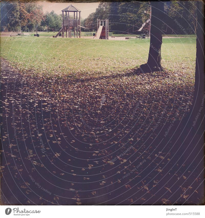 herbstspielplatz Spielplatz Umwelt Natur Landschaft Pflanze Herbst Baum Park Wiese Spielen authentisch braun gold grün schwarz weiß Gelassenheit Hoffnung Freude