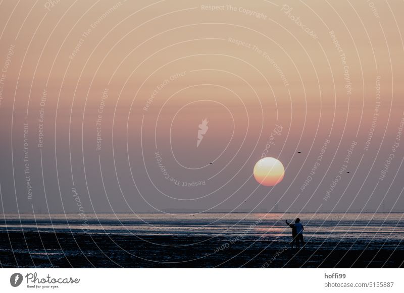 zwei Menschen am Strand des Wattenmeers bei Sonnenuntergang, im Hintergrund die verschwommene Silhouette von Wangerooge Sonnenuntergangshimmel Meer