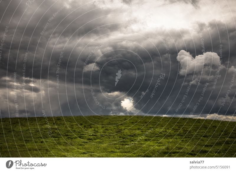 grüne Wiese und dramatischer Wolkenhimmel Himmel Horizont Unwetter Landschaft Natur düster bedrohlich Gewitterwolken schlechtes Wetter Kontrast Urelemente