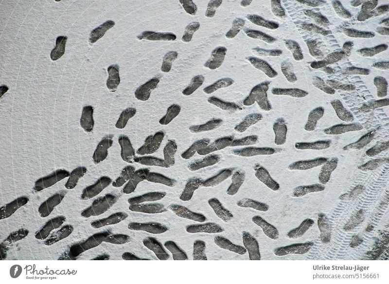 Fussspuren und Reifenspuren im Schnee Fußspuren im Schnee Spuren Winter Schneespur kalt Frost Kälte weiß grau winterlich Wintertag Außenaufnahme Menschenleer