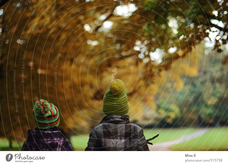 Lausbuben Ausflug Mensch Kind Kleinkind Geschwister Bruder Freundschaft 2 1-3 Jahre 3-8 Jahre Kindheit Herbst Baum Park Wald Jacke Mütze entdecken Stimmung