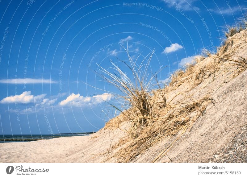 Düne am Strand der Ostsee mit Dünengras. Weißer Sandstrand an der Küste MEER Landschaft Urlaub Sommer Gras Natur Tourismus Erholung Wasser blau reisen Wind