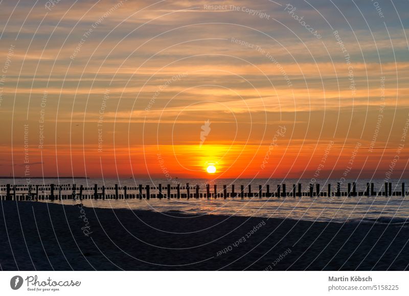 Bei Sonnenuntergang ragen die Buhnen ins Meer. Die Sonne scheint auf die Ostsee. Landschaft Sandstrand Wellen Sommerurlaub Küste Wolken Himmel Urlaub Natur